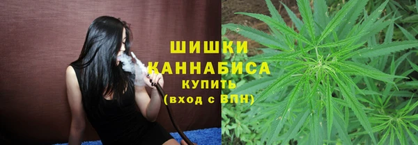 ПСИЛОЦИБИНОВЫЕ ГРИБЫ Карталы