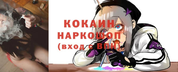 винт Дмитров