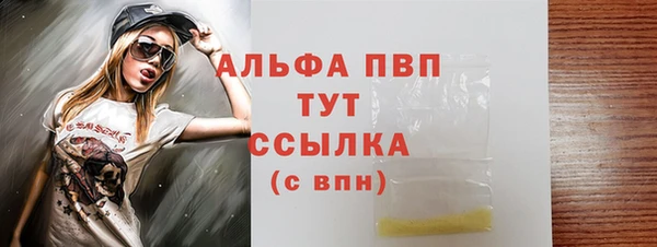 шишки Дмитриев