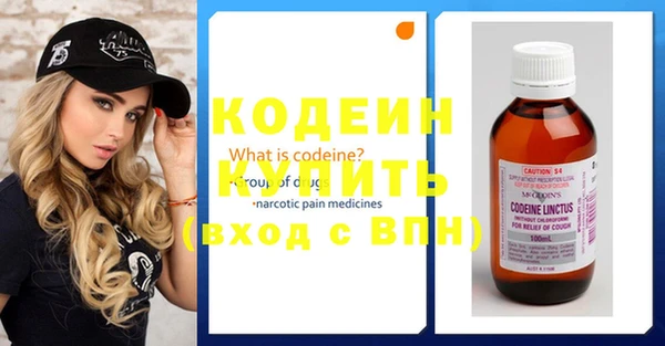 шишки Дмитриев