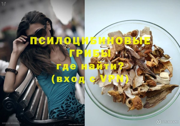 шишки Дмитриев