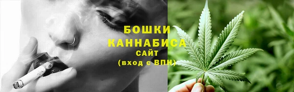 ПСИЛОЦИБИНОВЫЕ ГРИБЫ Кодинск