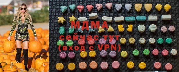 мдпв Каменка