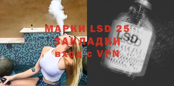 шишки Дмитриев