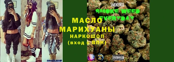 шишки Дмитриев