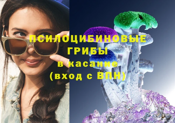СК Каменногорск