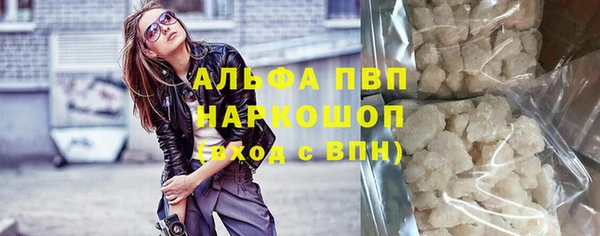 винт Дмитров