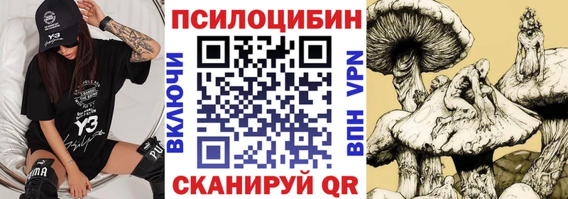 Псилоцибиновые грибы прущие грибы  Зима 
