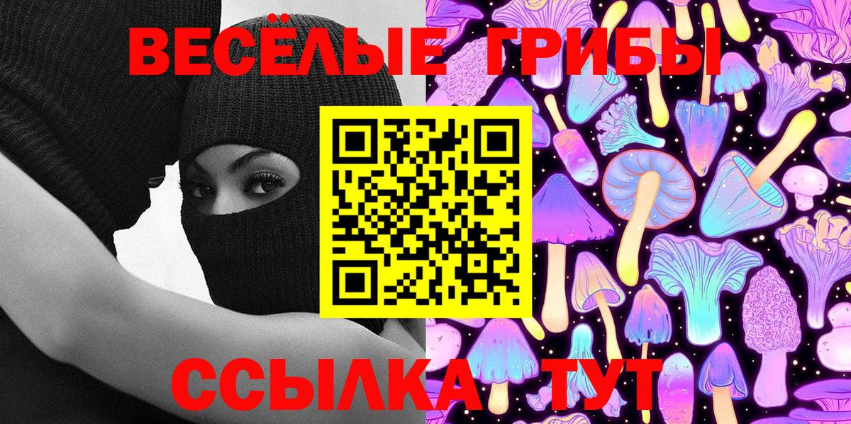где продают наркотики  Вход с VPN  Зима  Псилоцибиновые грибы Magic Shrooms 